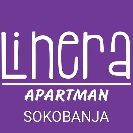 Apartman Linera Soko Banja Exteriér fotografie