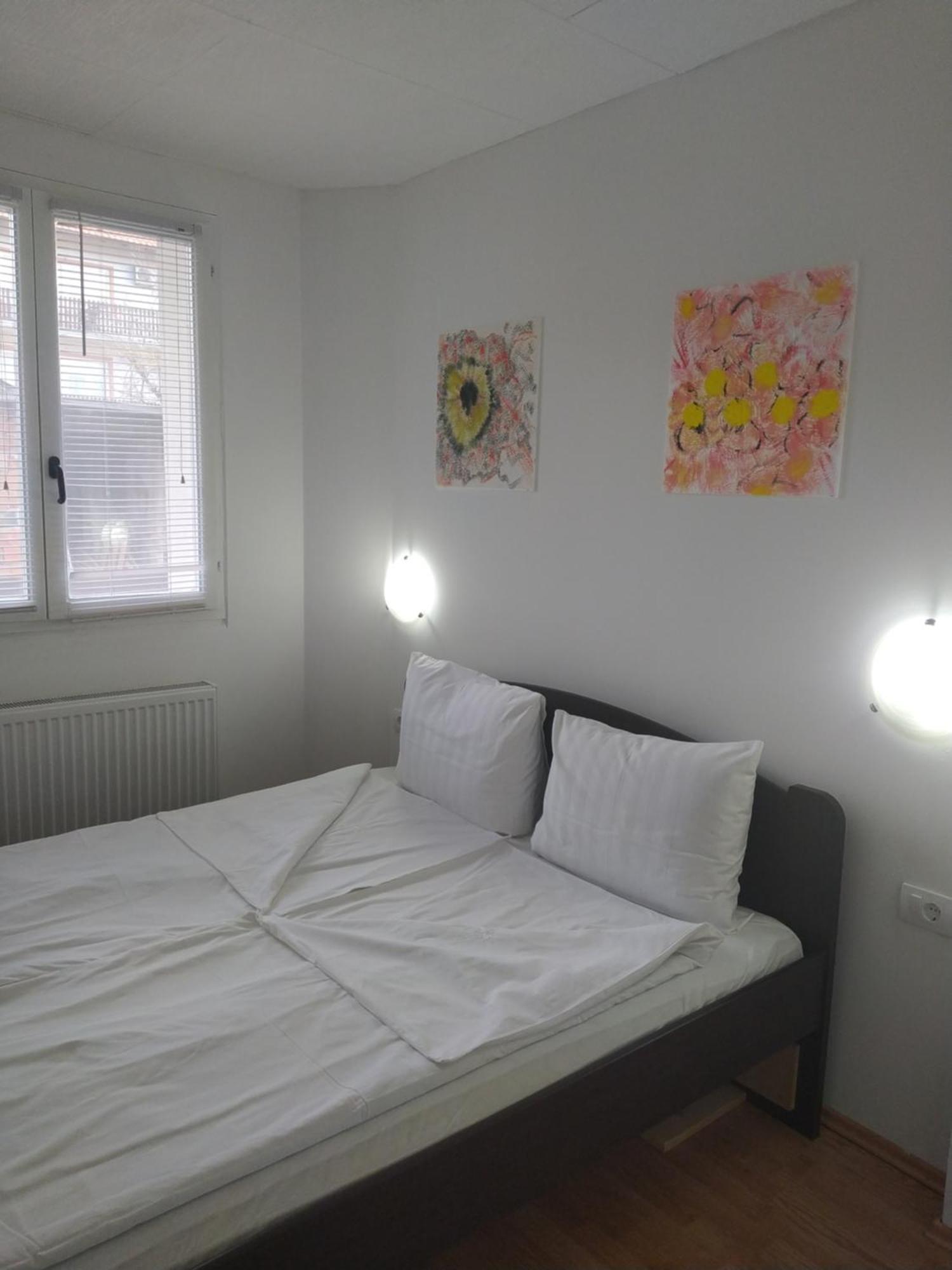 Apartman Linera Soko Banja Pokoj fotografie