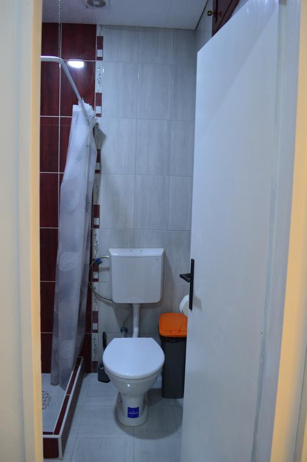 Apartman Linera Soko Banja Exteriér fotografie